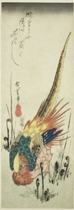 Zlatý bažant a kapradí kapradiny od Utagawa Hiroshige