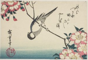 Sýkora koňadra na větvi třešňového květu od Utagawa Hiroshige