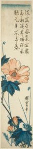 Ibišek od Utagawa Hiroshige