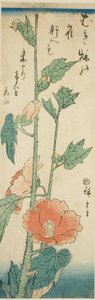 Ibišek od Utagawa Hiroshige