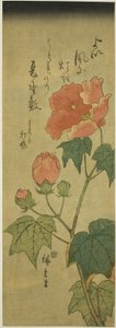Ibišek od Utagawa Hiroshige