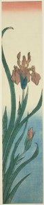 Duhovka od Utagawa Hiroshige