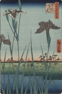 Irises of Horikiri, ze série Sto slavných pohledů na Edo od Utagawa Hiroshige