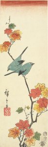 Japonští bělookí na javorové větvi, 1854