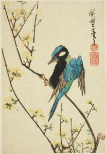 Java vrabec na třešňové větvi od Utagawa Hiroshige