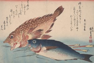 Kasago, Isaki a Ginger, 1832