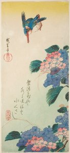 Ledňáček říční a hortenzie od Utagawa Hiroshige