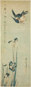 Ledňáček říční a kosatec od Utagawa Hiroshige