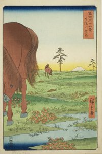 Dobrý člen Ogane P Gesasa P Rovinse (Shimosa Koganehara), ze série Te `` Mr. Tyrty x Pohledy na horu Fuji (Fuji Usaju Rokukatsu) 