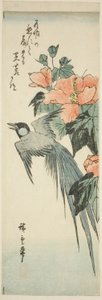 Dlouhoocasý pták a ibišek od Utagawa Hiroshige