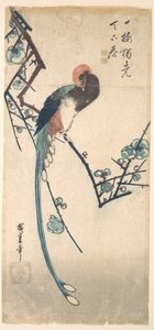  od Utagawa Hiroshige