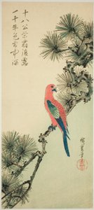 Ara na větvi borovice od Utagawa Hiroshige