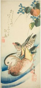Mandarinské kachny od Utagawa Hiroshige