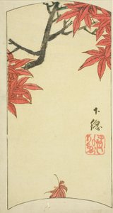 Javorové listy v provincii Shimosa (Shimosa, momiji), část listu č. 7 ze série "Vystřižené obrázky provincií (Kunizukushi harimaze zue)" od Utagawa Hiroshige