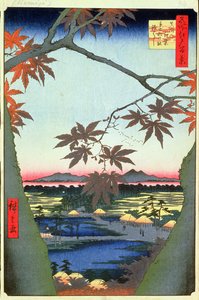 Maple Trees at Mam, Tekona Shrine and Linked Bridge, deska 94 ze série Sto pohledů na Edo, období Edo, éra Ansei, 1857 (dřevotisk) od Utagawa Hiroshige