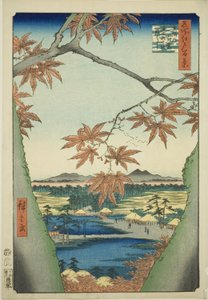 Javory u Mama, svatyně Tekona a most Tsugi (Mama no momiji, Tekona no yashiro, Tsugihashi), ze série „Sto slavných pohledů na Edo (Meisho Edo hyakkei)“ od Utagawa Hiroshige