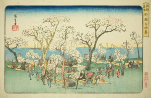 Veselí na Goten Hill (Gotenyama yukyo), ze série "Slavná místa v Edo (Koto meisho)" od Utagawa Hiroshige