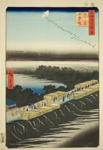 Japonská obrázková verze k povrch t, ​​Yoshiwara (Yoshiwara Nihon Tsutsumi), ze série s ``Hřebenová část d r e d fa net s pohled ws of Edo (Sto slavných pohledů na Edo)