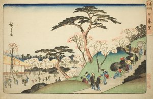 Nippori, ze série „Slavná místa ve východním hlavním městě (Toto meisho)“ od Utagawa Hiroshige