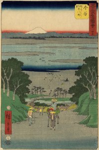 z. 25 Hey River, Kanaya, červenec 1855