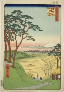 Čajovna starého muže, Meguro (Meguro Jijigachaya), ze série "Sto slavných pohledů na Edo (Meisho Edo hyakkei)". od Utagawa Hiroshige