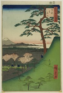 Původní Fudži, Meguro (Meguro Moto-Fuji), ze série "Sto slavných pohledů na Edo (Meisho Edo hyakkei)" od Utagawa Hiroshige