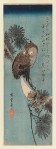 Sova na větvi borovice, cca 1833 (barevný dřevotisk) od Utagawa Hiroshige