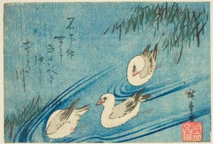 Ústřičníky od Utagawa Hiroshige