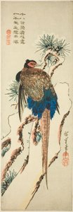 Bažant na zasněžené borovici od Utagawa Hiroshige