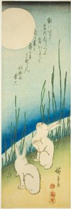 Králíci za úplňku od Utagawa Hiroshige
