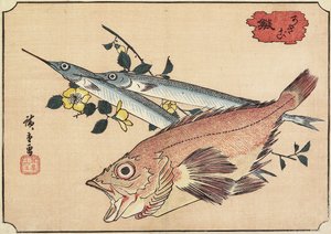 Rockfish and Halfbeak, počátek 19. století
