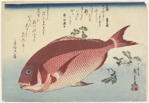Pražma a Sansho_Sprigs, c. 1832