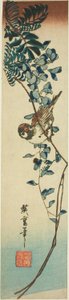 Vrabec a vistárie od Utagawa Hiroshige