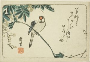 Vrabec a vistárie od Utagawa Hiroshige