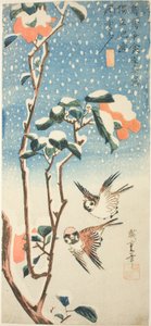 Vrabci a kamélie ve sněhu od Utagawa Hiroshige