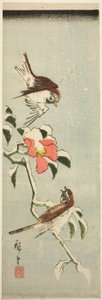 Vrabci a kamélie ve sněhu od Utagawa Hiroshige