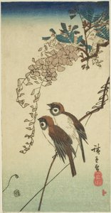 Vrabci a vistárie od Utagawa Hiroshige