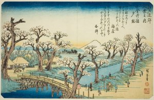 Živě na Koganei Bridge (Koganei-bashi Sekisho), z Te Series od Utagawa Hiroshige