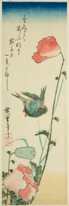 Vlaštovka a mák od Utagawa Hiroshige