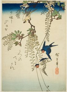 Vlaštovka, žlutý pták a vistárie od Utagawa Hiroshige