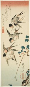 Vlaštovky a třešňové květy od Utagawa Hiroshige
