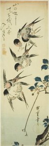Vlaštovky a kvetoucí větev od Utagawa Hiroshige
