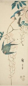 Vlaštovky a vistárie od Utagawa Hiroshige