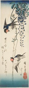 Vlaštovky a vistárie od Utagawa Hiroshige