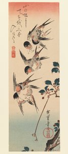 Tanzaku, Four Swallows, 1832 (barevný dřevotisk) od Utagawa Hiroshige