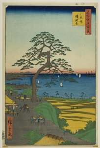 Borovice visící na brnění v Hakkeizace (Hakkeizaka Yoroikakematsu), ze série "Sto slavných pohledů na Edo (Meisho Edo hyakkei)". od Utagawa Hiroshige