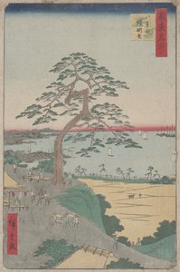 „The Armour-Hanging Pine at Hakkeizaka“ ze 100 pohledů na Edo
