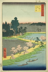 Propletené kafrové stromy ve svatyni Azuma (Azuma no mori Renri no azusa), ze série „Sto slavných pohledů na Edo (Meisho Edo hyakkei)“ od Utagawa Hiroshige