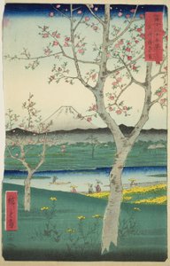 Předměstí Koshigaya v provincii Musashi (Musashi Koshigaya zai), ze série „Třicet šest pohledů na horu Fuji (Fuji sanjurokkei)“ od Utagawa Hiroshige