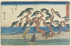 Borové pole v Hamamatsu, 1841-1842